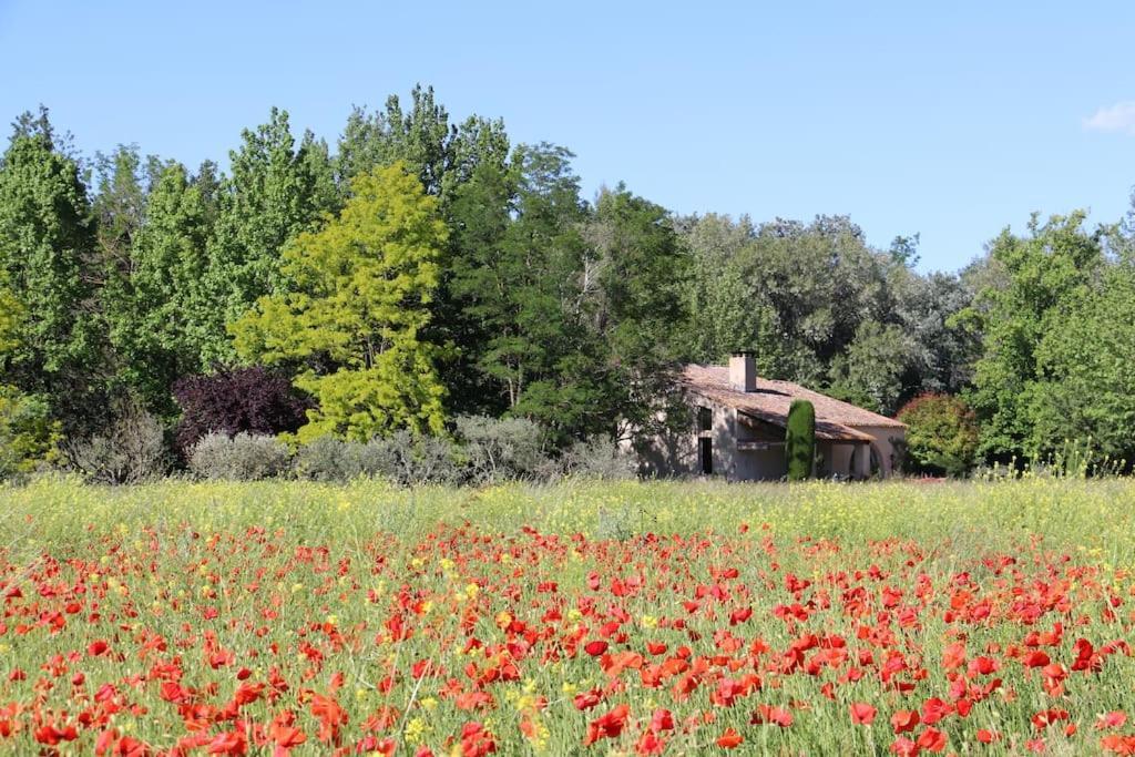 Le Jardin D'Erables St Remy 7 Ha Piscine/Clim Vila Paluds de Noves Exterior foto