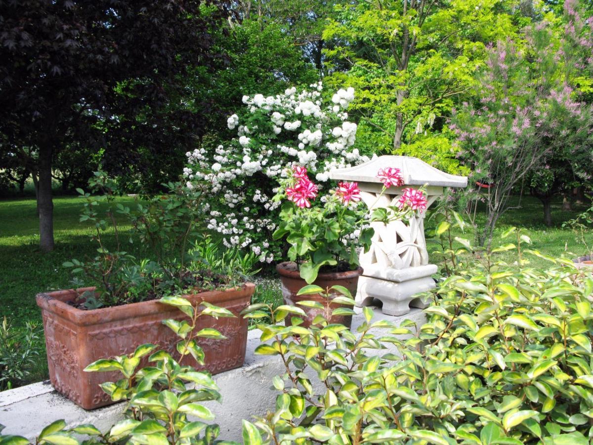 Le Jardin D'Erables St Remy 7 Ha Piscine/Clim Vila Paluds de Noves Exterior foto